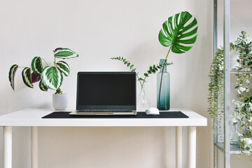 Home office decorate with green nature tree plants, Workspace and laptop computer on desk, Artificial houseplant for home and living room interior.