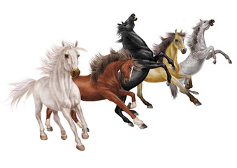 Obraz na płótnie Canvas cheval, animal, isolé, illustration, vecteur, noir , brun, blanc, beige, gris, mouvement, étalon, blanc, noir, ferme, troupeau, mammifère, course, poney, silhouette, amoureux des chevaux, sauvage, na