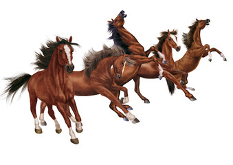 cheval, animal, isolé, illustration, vecteur, brun, mouvement, étalon, blanc, noir, ferme, troupeau, mammifère, course, poney, silhouette, amoureux des chevaux, sauvage, nature, chameau, dessin animé,
