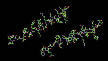 Molecule of the human hormone glucagon