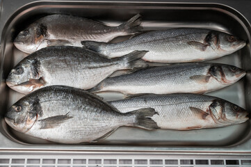 Fresh raw dorado and sea bass fish in the supermarket