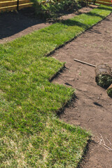 Laying sod for new garden lawn - turf laying concept