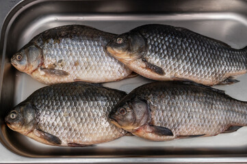 Fresh raw carp fish in the supermarket