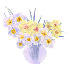 blooming bouquet of flowers of yellow and white daffodils in a glass vase illustration, isolated vector