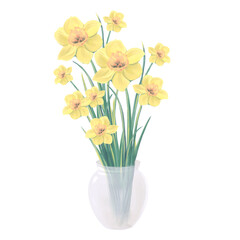 blooming bouquet of yellow daffodil flowers in a glass vase vector illustration