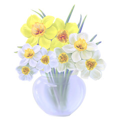 bouquet of daffodils flowers in glass vase illustration, isolated vector on white background