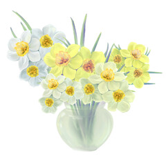 flowers of yellow and white daffodils in a glass vase illustration, isolated vector