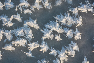 Beautiful effect - snow stars on ice. A pattern that forms only in severe, winter frost