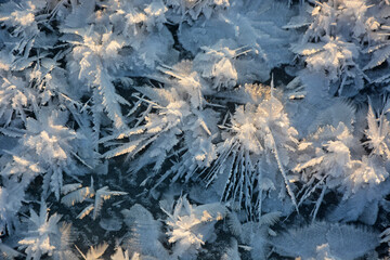 Beautiful effect - snow stars on ice. A pattern that forms only in severe, winter frost