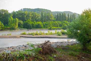 Fototapeta premium very beautiful river with forest in georgia