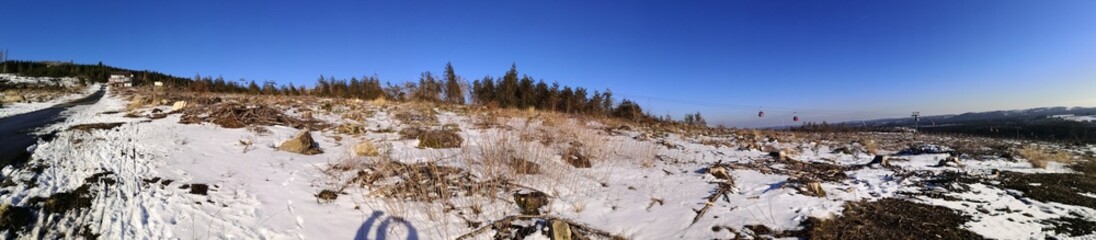 Fototapeta na wymiar Eine Wanderung von Braunlage zum Wurmberg im Harz im Winter