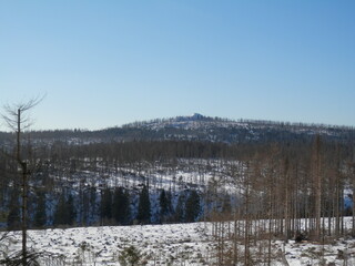 Der Achtermann (Achtermannshöhe) zwischen Braunlage und Oderbrück