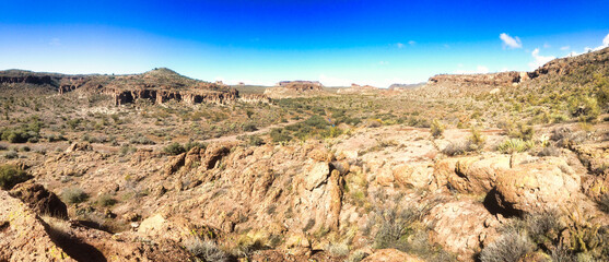 Fototapeta na wymiar Desert panorama along the Monolith Garden Trail in the Mojave Desert near Kingman, Arizona, USA 