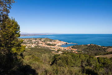 Fototapeta na wymiar Vue sur Collioure et sa baie au bord de la Méditerranée (Occitanie, France)