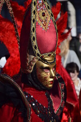 Carnevale di Venezia - 489738263