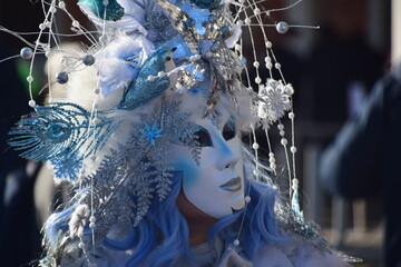 Carnevale di Venezia - 489738609