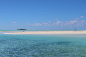 Fototapeta na wymiar Beautiful blue lagoon from Tetiaroa a pacific island fron French Polynesia 