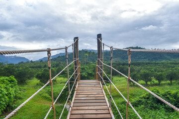 Rope Bridge Belize