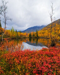 Autumn colorful tundra on the background mountain peaks in cloudy weather. Mountain landscape in Kola Peninsula, Arctic, Khibiny Mountains.