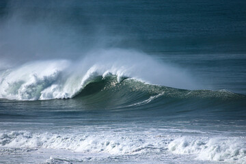 Perfect wave breaking in a beach. Surf spot