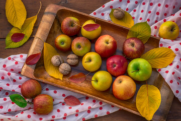 Apples, walnuts and yellow leaves