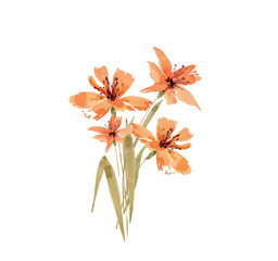 Naklejka na ściany i meble Bouquet of delicate watercolor orange lily flowers, hand painted.