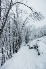 paysage sous la neige en hiver dans les alpes en France dans l'Oisans à Vaujany