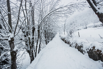 paysage sous la neige en hiver dans les alpes en France dans l'Oisans à Vaujany