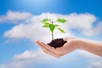 hand holding small green plant against blue sky, earth day background, environment protection concept