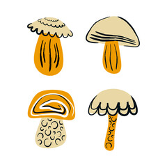 Set of cartoon raw mushrooms