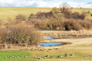 Vorbecken Buch © waechter-media.de