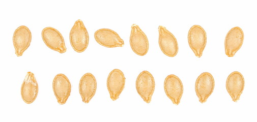 Wet muscat squash seeds set and collection isolated on white background, top view