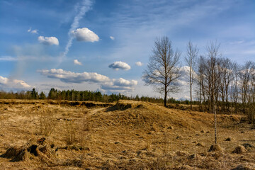 Fototapeta premium Bright sunny spring day in the countryside.