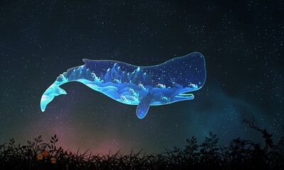 Sperm whale vector illustration night sky background flowers field 향유고래 일러스트 © pil