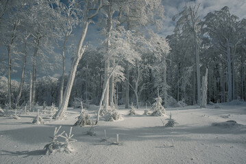 Beskids mountains in winter, Polish touristic region is Silesia, near Bielsko-Biala