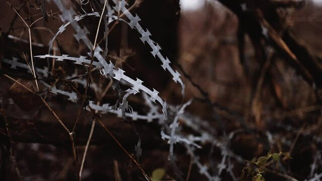 Barbed wire against migrants. lines of barbed wire to demarcate the border during the war