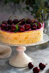 Cherry cheesecake with pink cream and fresh cherries, grey background