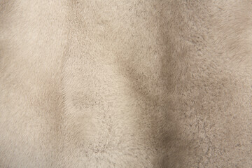 Textur Fell und Pelz.