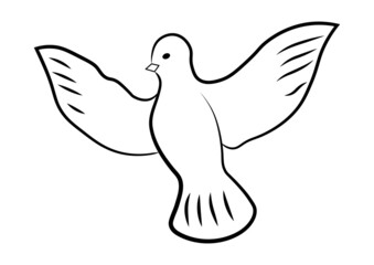 Flying bird - dove or pigeon with its wings spread line art vector icon for nature apps and websites