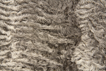 Textur Fell und Pelz.