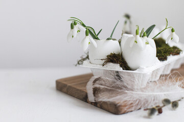 Easter rustic still life. Easter egg shells with blooming snowdrops, feathers, moss on aged white wooden table. Simple stylish festive decoration on table. Happy Easter! Space for text