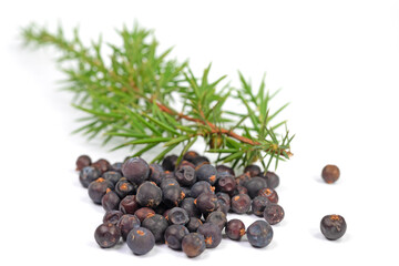 Getrocknete Wacholderbeeren vor weißem Hintergrund