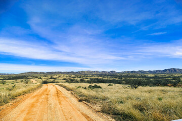 Unpaved road through the grassy hills of the semi desert of Buenos Aires National Wildlife Refuge, Pima County, Arizona, USA

