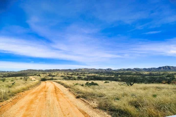 Poster Unpaved road through the grassy hills of the semi desert of Buenos Aires National Wildlife Refuge, Pima County, Arizona, USA  © Hans
