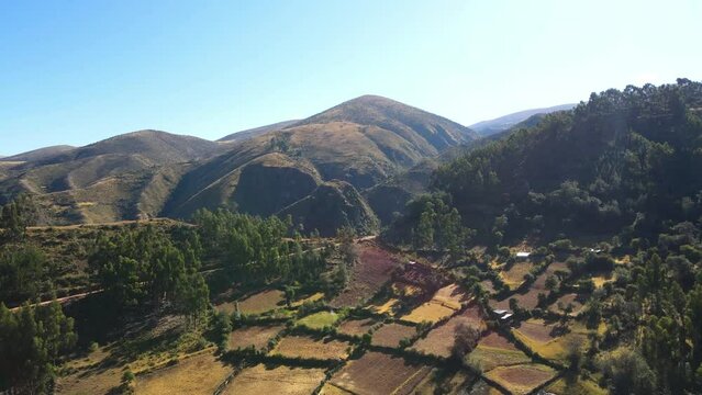 The best of Peru: Bosque De Puyas Raimondi in Ayacucho - Vilcas Huam&aacute;n