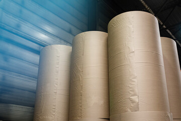 Bottom close-up of large rolls of recycled paper