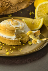 Delicious handmade French lemon cake.