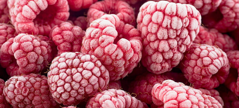 Berries background - Frozen raspberries covered with hoarfrost. Summer berries, top view.