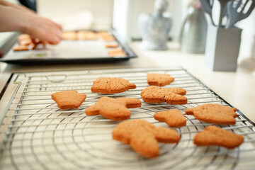 Freshly baked cookies on the kitchen table at home.