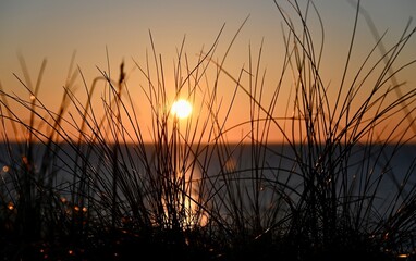 Sunset in wenningstedt sylt View through Dune grass